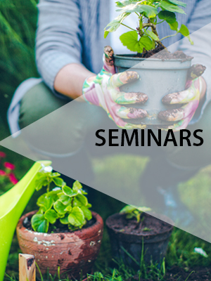Seminars
