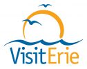 visiterie_logo 1
